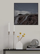 Tough little survivor ... Poster och Canvastavla