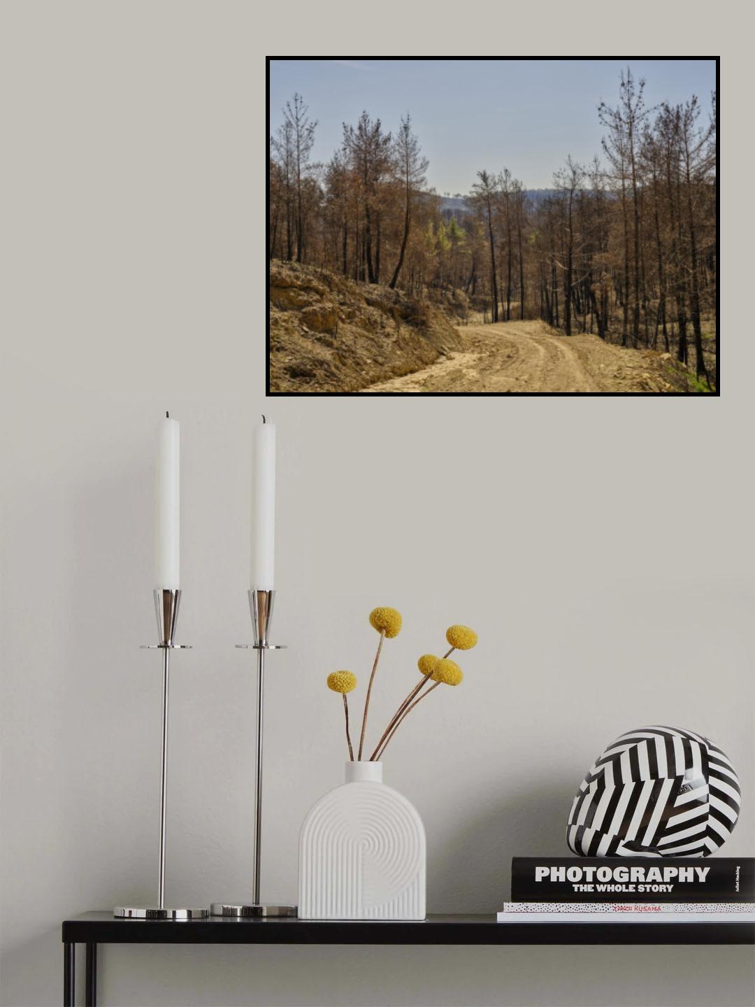 burnt trees in the forest Poster och Canvastavla