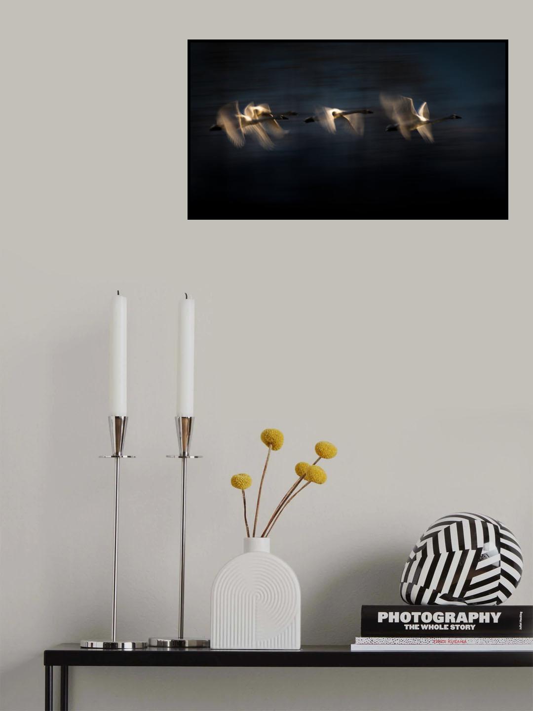 First flight in the morning Poster och Canvastavla