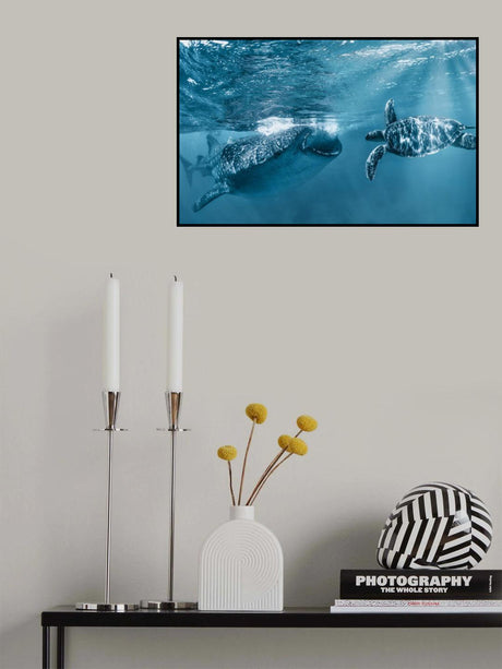 Once at the ocean Poster och Canvastavla