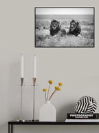 Two kings Poster och Canvastavla