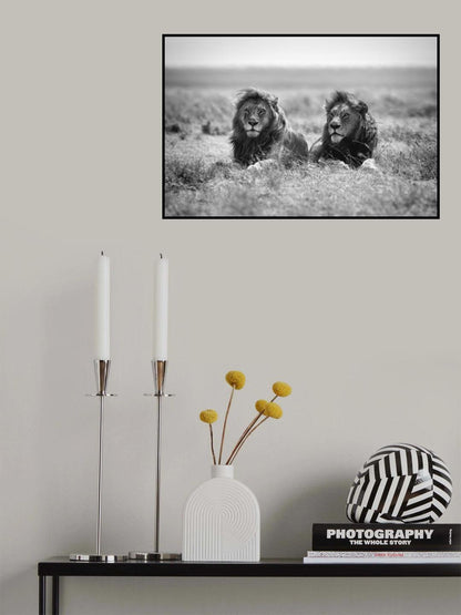 Two kings Poster och Canvastavla