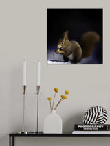 Nuts Poster och Canvastavla