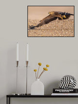 Poster och Canvastavla