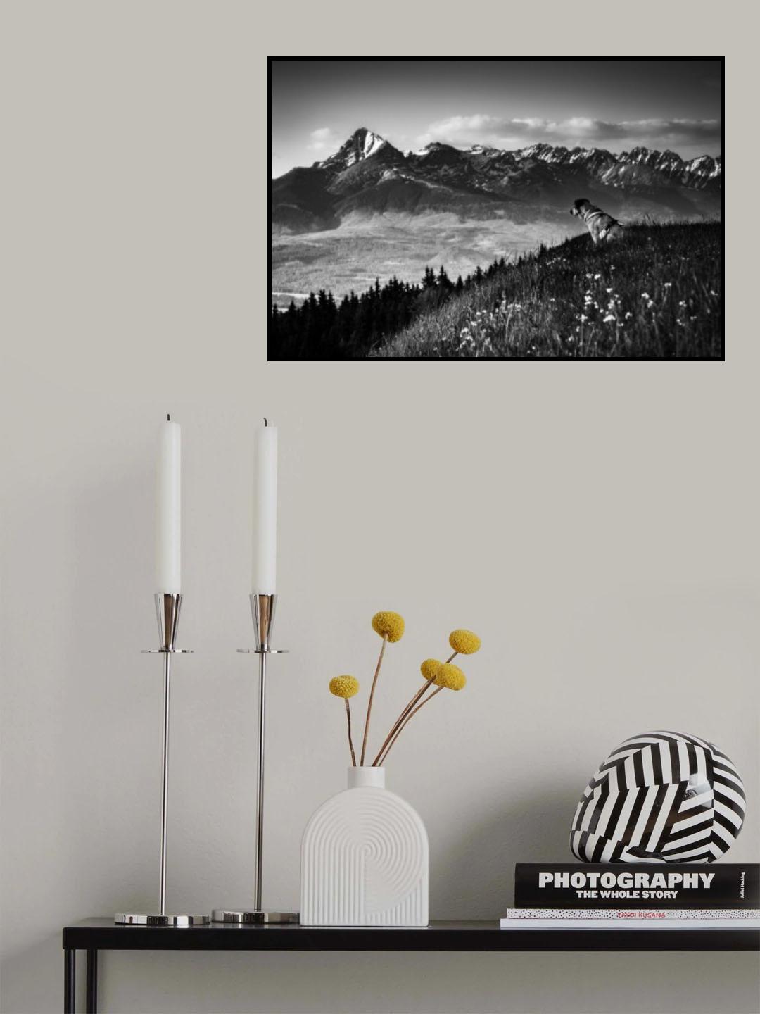 ... enjoyer ... Poster och Canvastavla