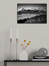 ... enjoyer ... Poster och Canvastavla
