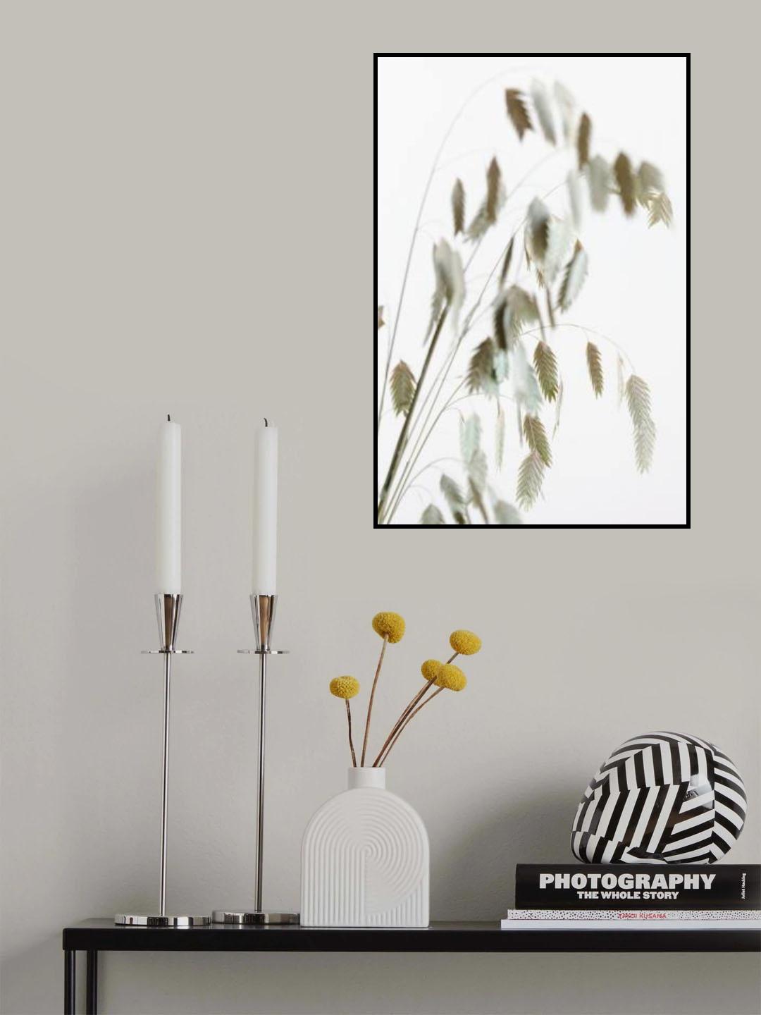 Dried Grass_natural Poster och Canvastavla