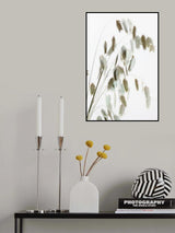 Dried Grass_natural Poster och Canvastavla