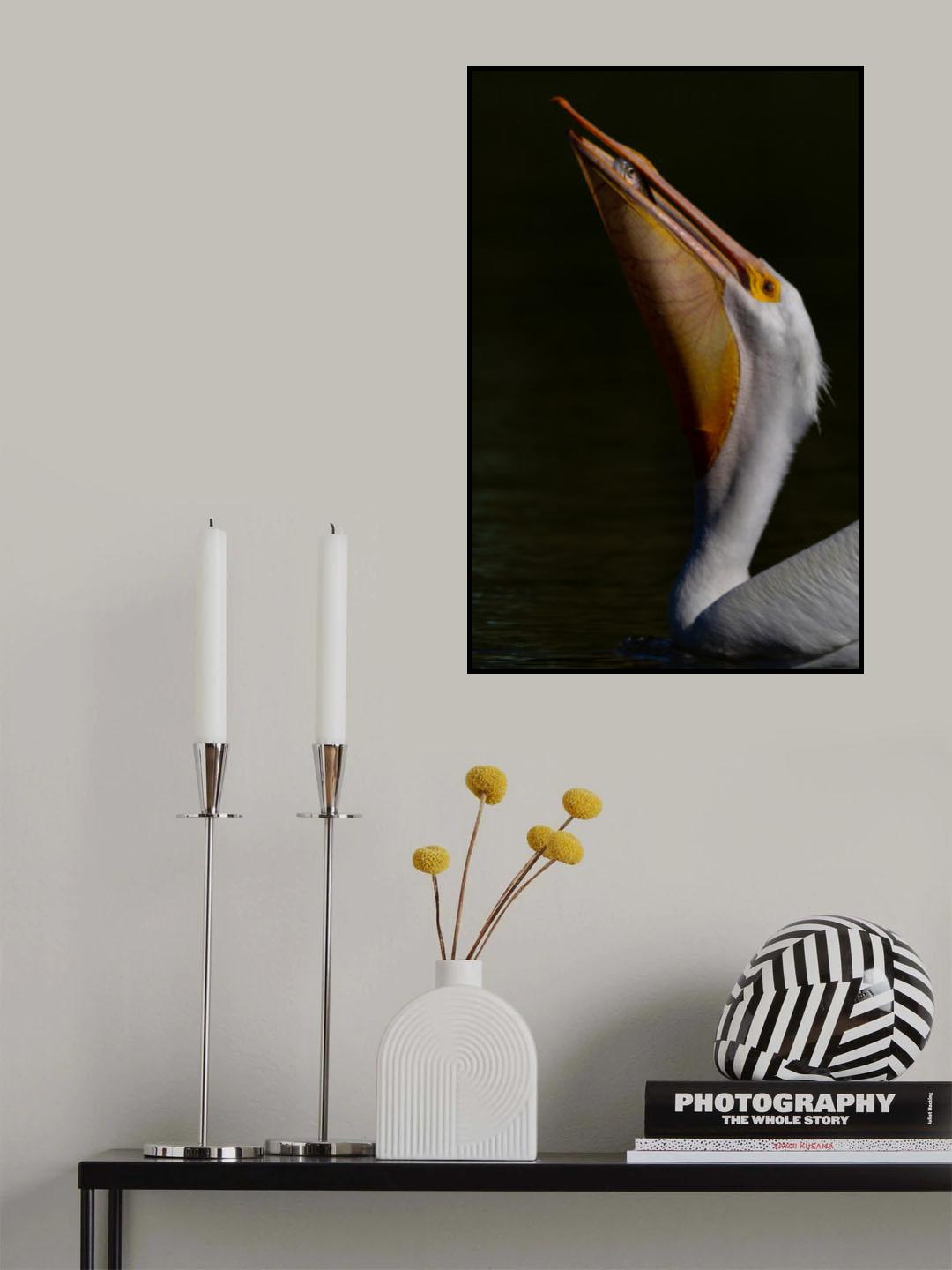 Pelicon and Fish Poster och Canvastavla