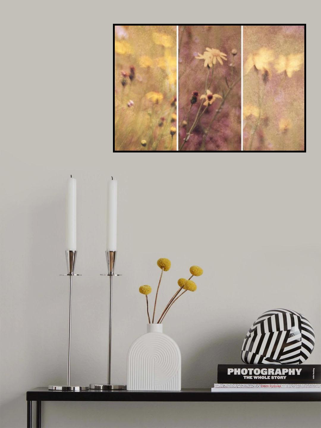 Reappearance of Joy Poster och Canvastavla