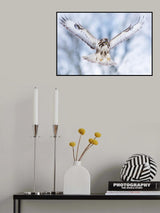 Wings up Poster och Canvastavla