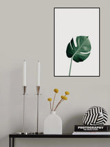 Monstera Natural 01 Poster och Canvastavla