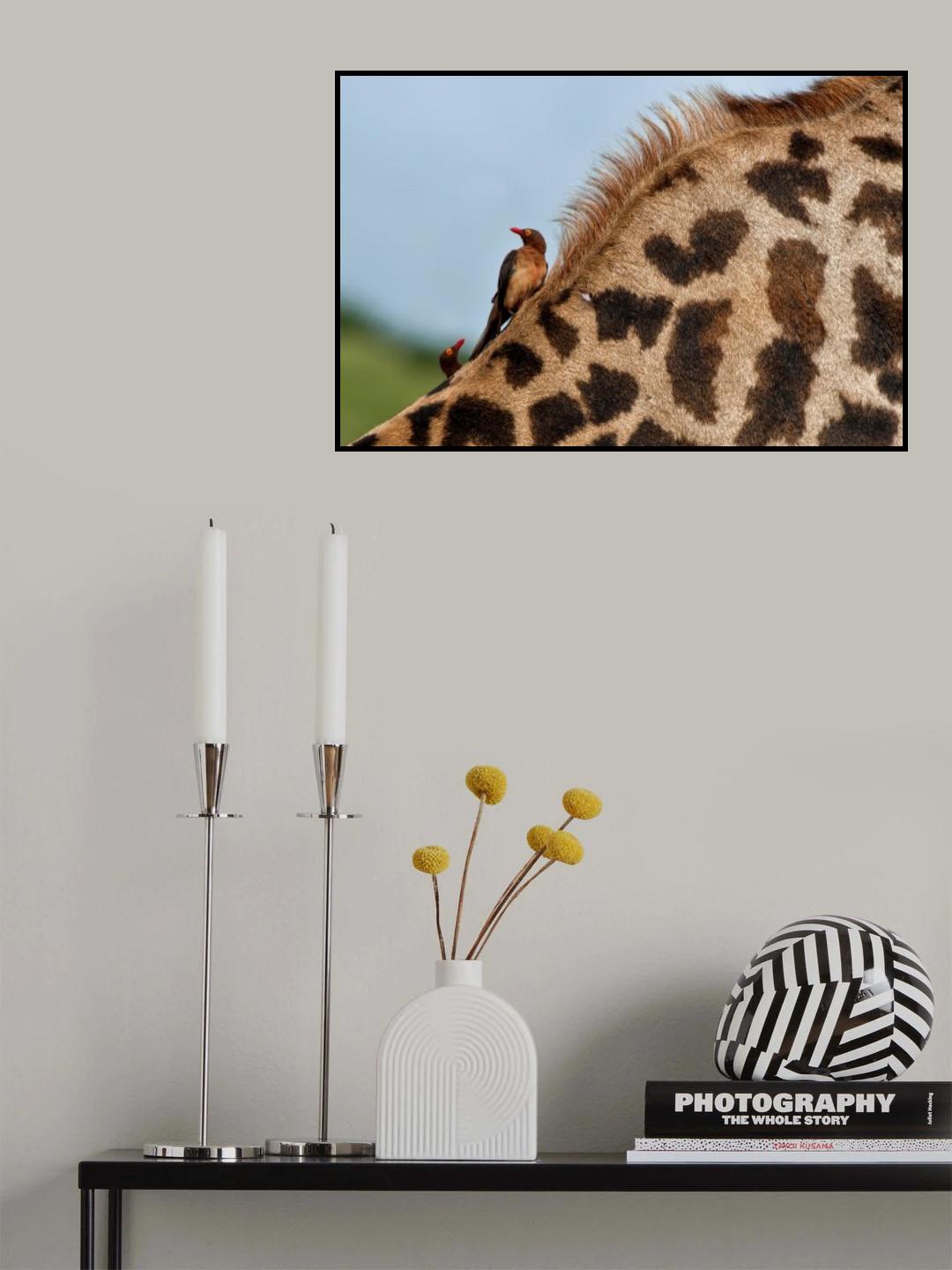 Poster och Canvastavla