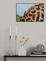 Poster och Canvastavla