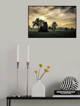 Old abandoned house covered by vegetation at sunset Poster och Canvastavla
