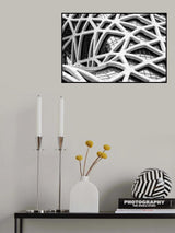 The Maze Poster och Canvastavla