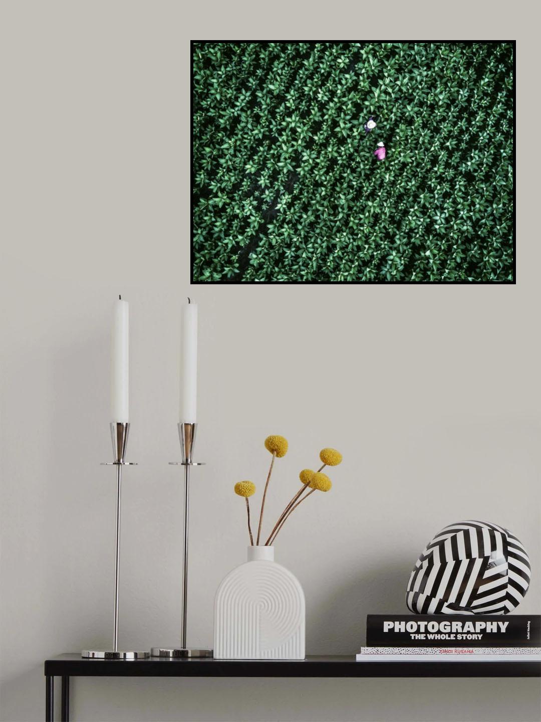 Sheer purity Poster och Canvastavla