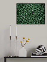 Sheer purity Poster och Canvastavla