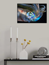 Eye of Squid Poster och Canvastavla