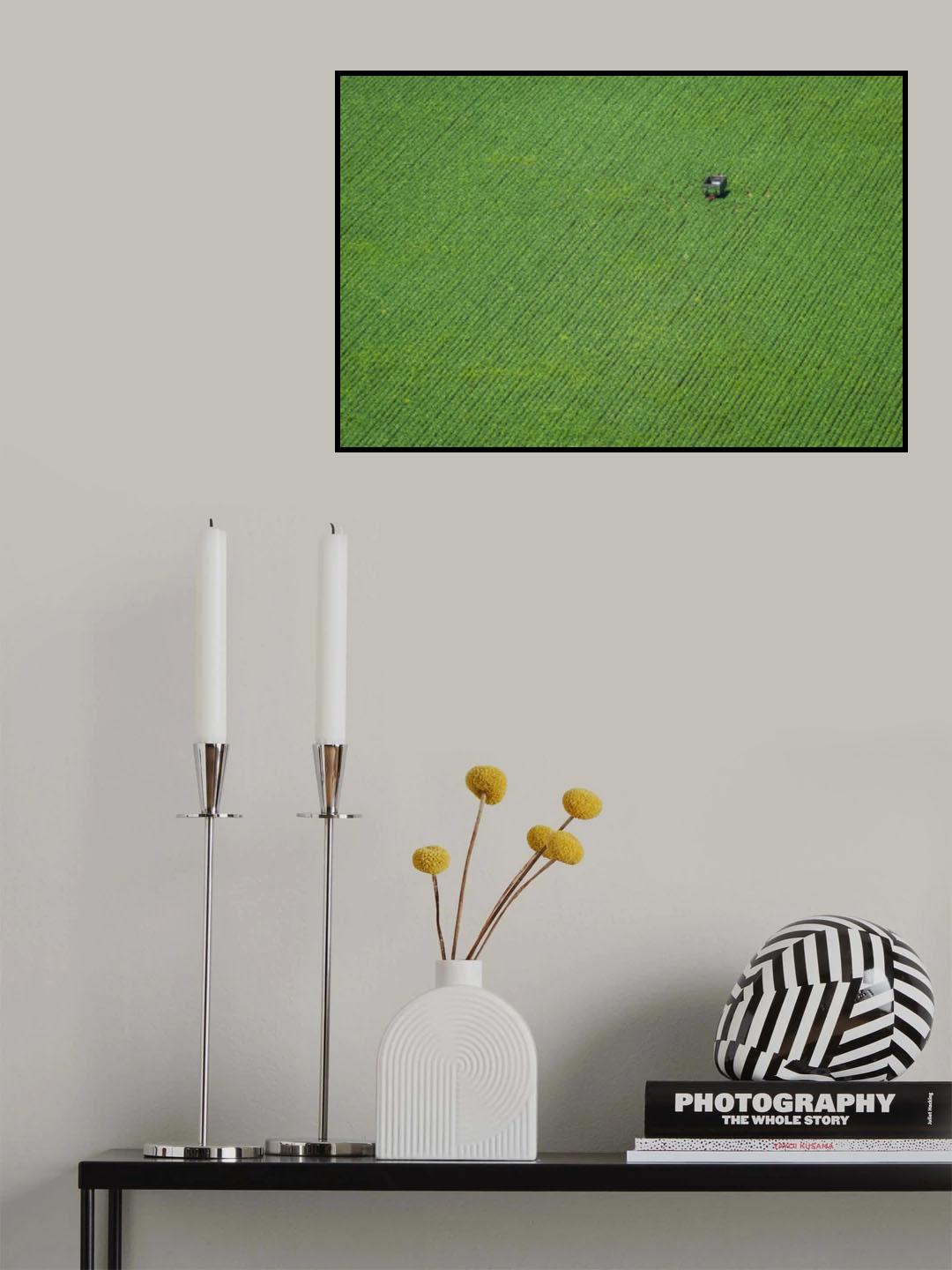 Corn field Poster och Canvastavla