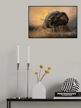 '...playful in the water...' Poster och Canvastavla