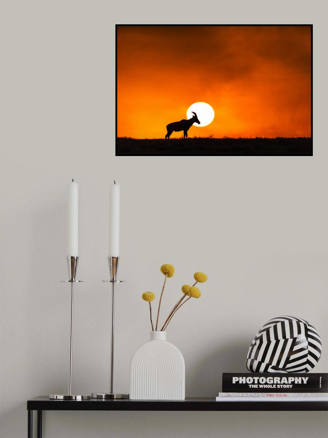 Sunset in Massai Mara Poster och Canvastavla