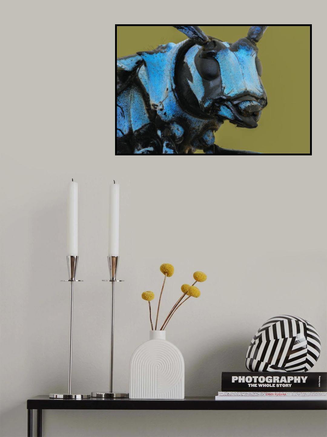 LongHorn Beetle Poster och Canvastavla