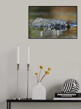 Surfing Poster och Canvastavla