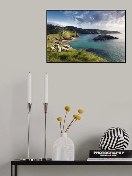 Irish Coast Poster och Canvastavla