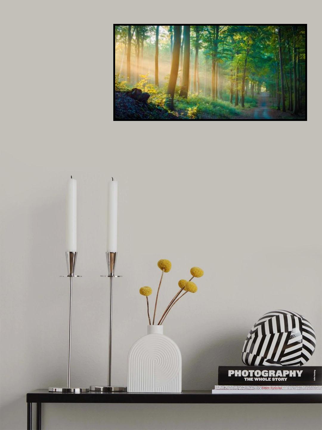 Season Change Poster och Canvastavla