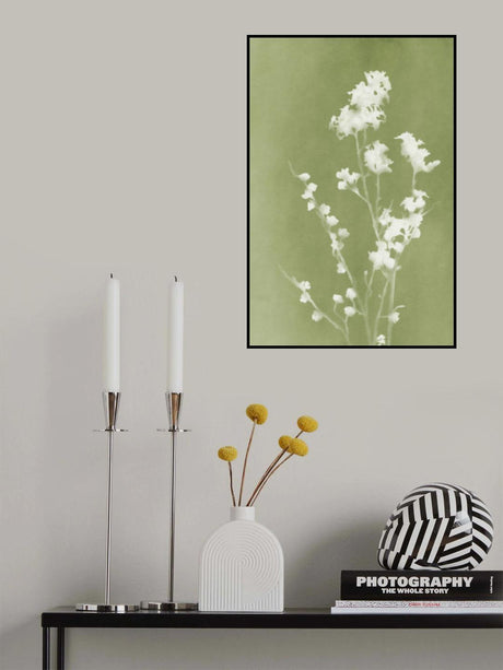 Monograph Green Flowers Poster och Canvastavla