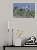Breakfast delivery Poster och Canvastavla