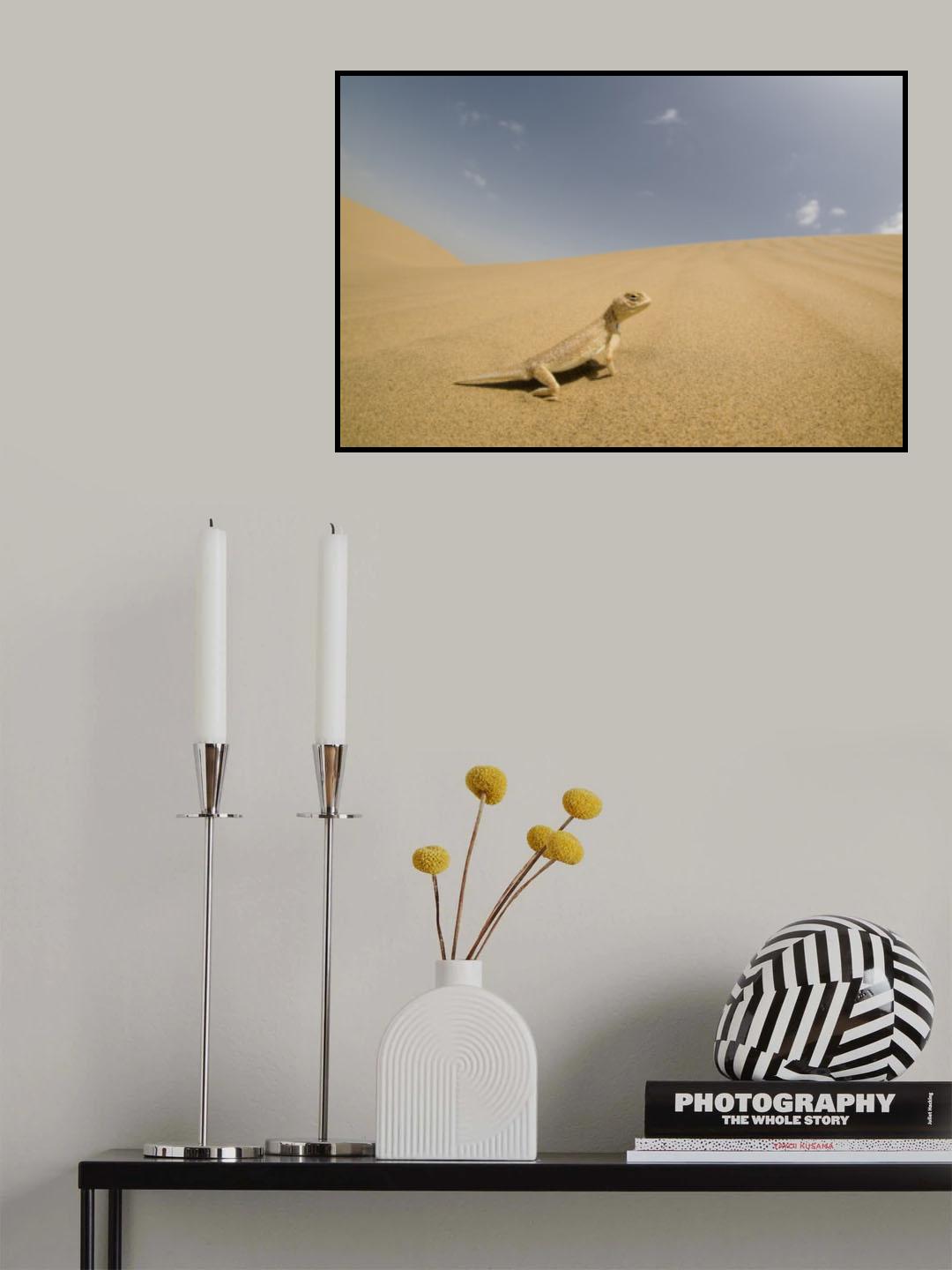 Laungwala Toad-headed Agama Poster och Canvastavla
