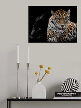 Mr and Mrs Jaguar - Panthera Onca Poster och Canvastavla