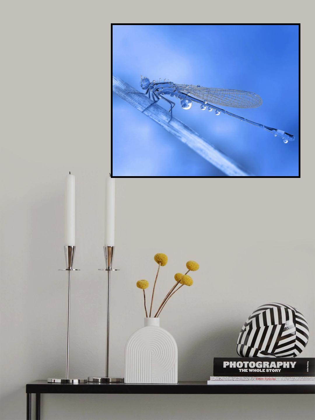 Transport of blue planets... Poster och Canvastavla