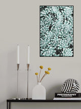Plant Poster och Canvastavla