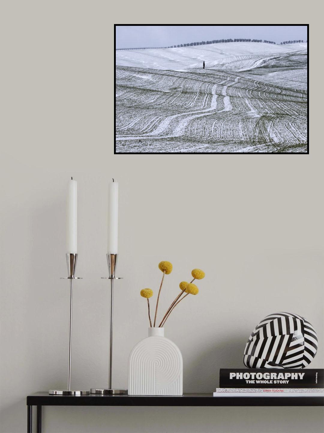 Il Cipresso Poster och Canvastavla