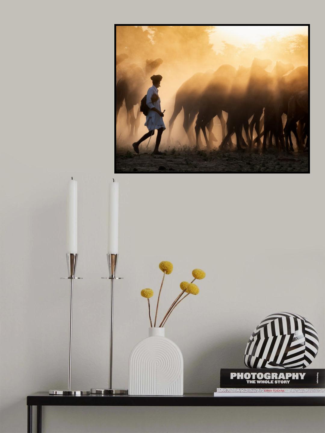 Light Walker Poster och Canvastavla