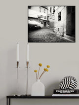 She Poster och Canvastavla