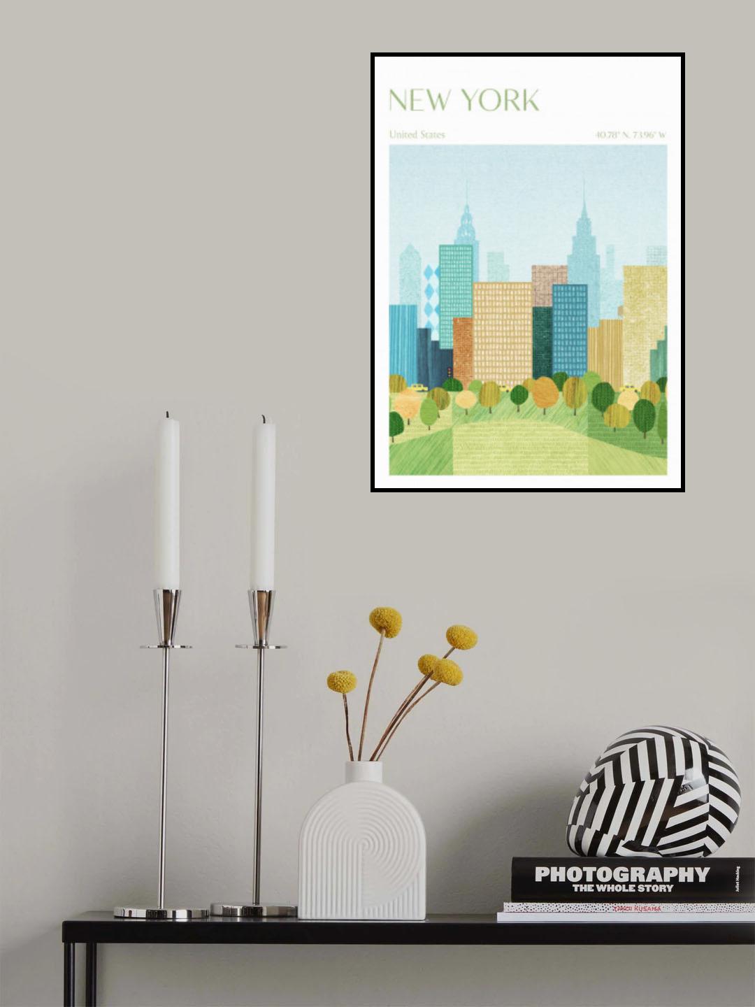 New York, Central Park Poster och Canvastavla