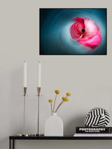 Pink ballerina Poster och Canvastavla