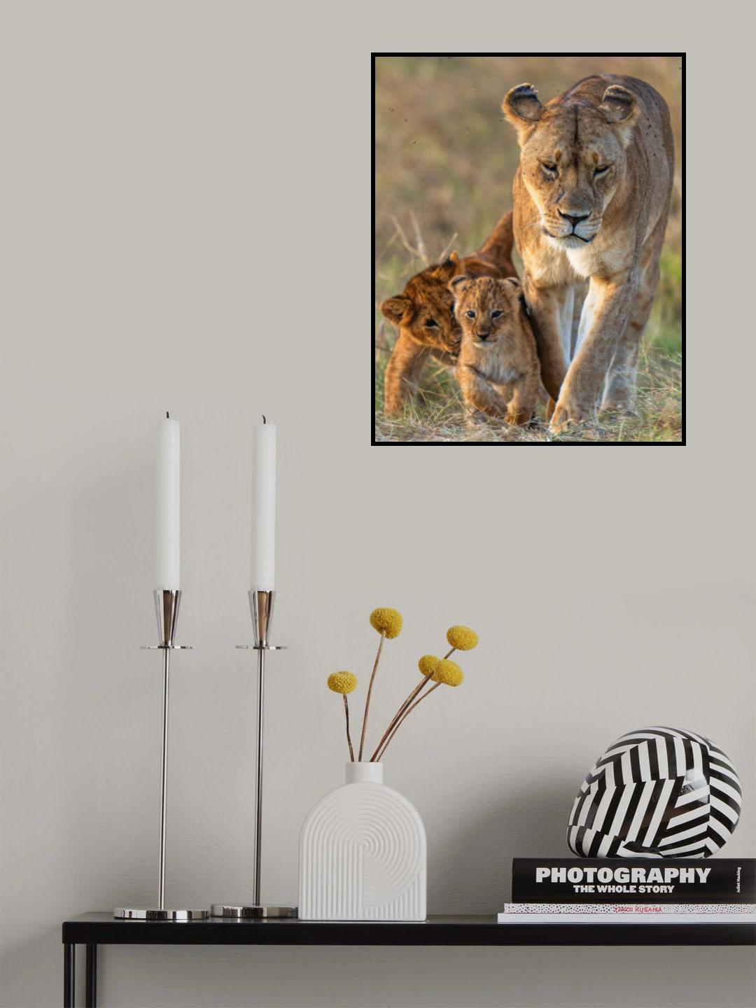 cute Poster och Canvastavla