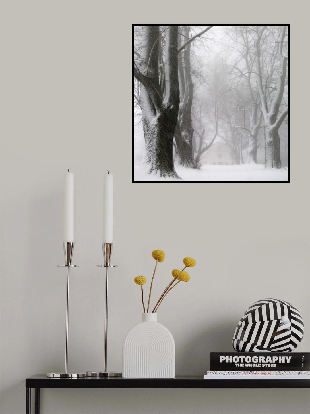 White avenue Poster och Canvastavla