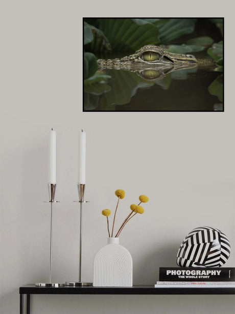 Between plants Poster och Canvastavla