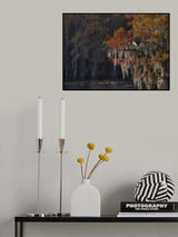 Caddo Lake and Bird Poster och Canvastavla
