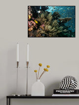 Living the reef Poster och Canvastavla