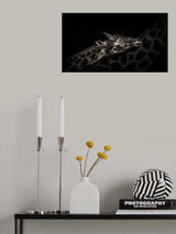 You are alway there for me. Poster och Canvastavla