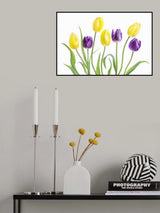 Tulip Poster och Canvastavla