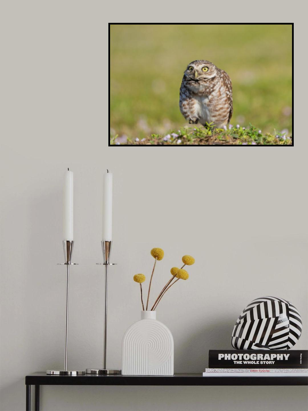 Hello there! Poster och Canvastavla