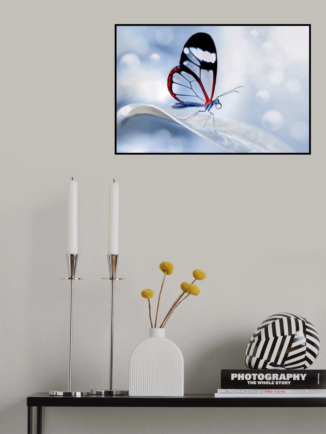 glasswing Butterfly (Greta oto) Poster och Canvastavla
